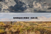 桂林网站优化哪里好（桂林 网）
