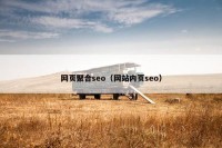 网页聚合seo（网站内页seo）