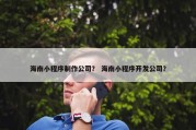 海南小程序制作公司？ 海南小程序开发公司？