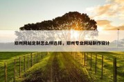 郑州网站定制怎么样选择，郑州专业网站制作设计
