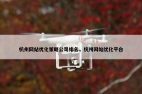 杭州网站优化策略公司排名，杭州网站优化平台