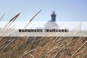 璧山网站排名优化（璧山网公众信息）