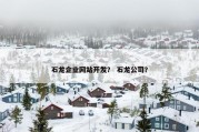 石龙企业网站开发？ 石龙公司？