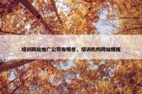 培训网站推广公司有哪些，培训机构网站模板