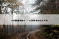 seo要注意什么，seo需要学些什么内容