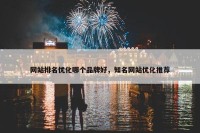 网站排名优化哪个品牌好，知名网站优化推荐
