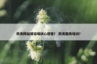 政务网站建设培训心感悟？ 政务服务培训？