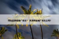 河北区网站推广优化？ 天津网站推广优化公司？