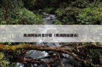株洲网站开发价格（株洲网站建设）