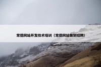 常德网站开发技术培训（常德网站策划招聘）