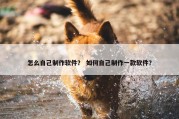 怎么自己制作软件？ 如何自己制作一款软件？