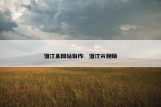 澄江县网站制作，澄江市视频