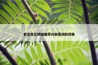 包含优化网站推荐兴田德润的词条