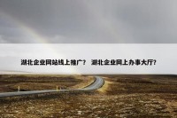 湖北企业网站线上推广？ 湖北企业网上办事大厅？