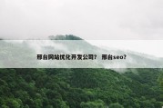 邢台网站优化开发公司？ 邢台seo？