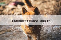 阜新集团网站开发报价多少？ 阜新网页？