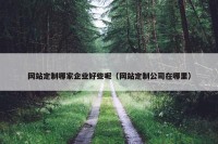 网站定制哪家企业好些呢（网站定制公司在哪里）