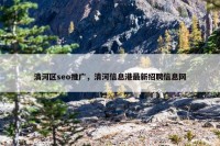 清河区seo推广，清河信息港最新招聘信息网