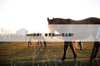 seo谈单？ 单页面seo怎么做？