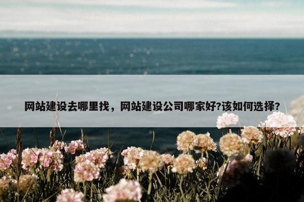 网站建设去哪里找，网站建设公司哪家好?该如何选择?