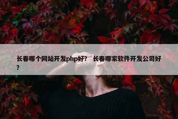 长春哪个网站开发php好？ 长春哪家软件开发公司好？