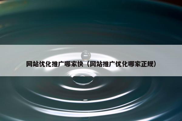 网站优化推广哪家快（网站推广优化哪家正规）