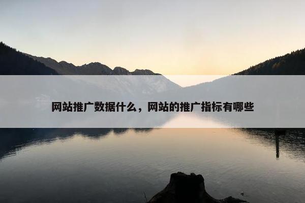 网站推广数据什么，网站的推广指标有哪些