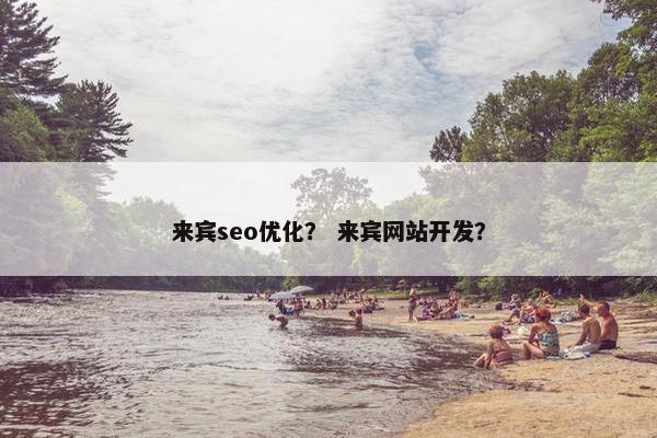 来宾seo优化？ 来宾网站开发？