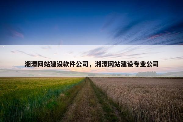 湘潭网站建设软件公司，湘潭网站建设专业公司