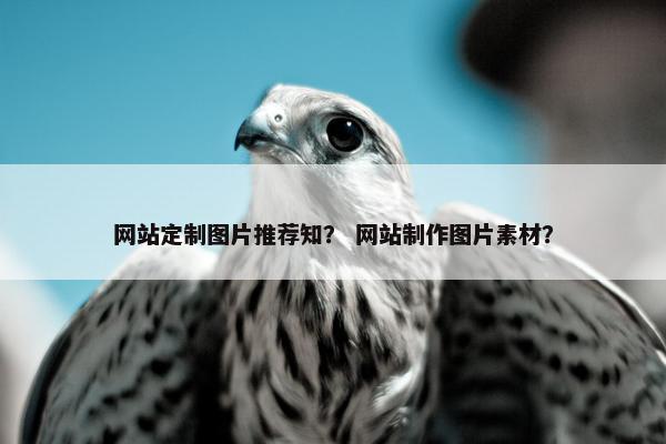 网站定制图片推荐知？ 网站制作图片素材？