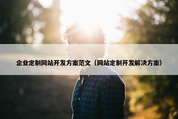企业定制网站开发方案范文（网站定制开发解决方案）