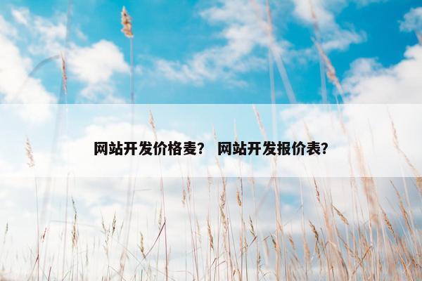 网站开发价格麦？ 网站开发报价表？