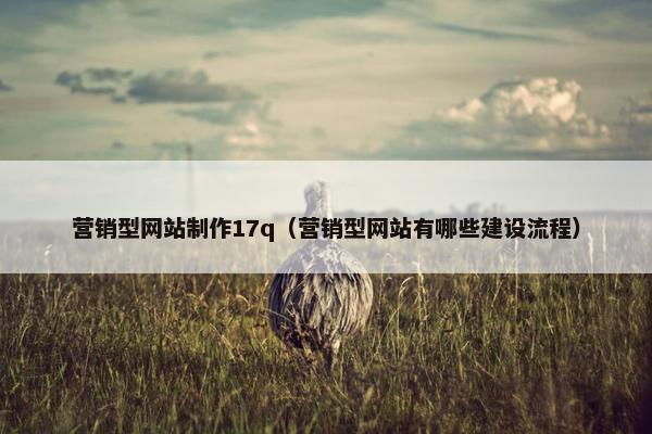 营销型网站制作17q（营销型网站有哪些建设流程）