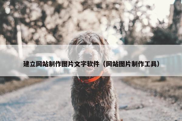 建立网站制作图片文字软件（网站图片制作工具）