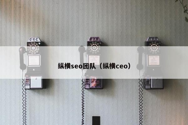 纵横seo团队（纵横ceo）
