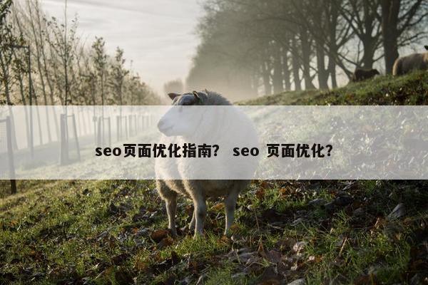 seo页面优化指南？ seo 页面优化？