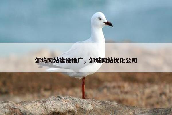 邹坞网站建设推广，邹城网站优化公司