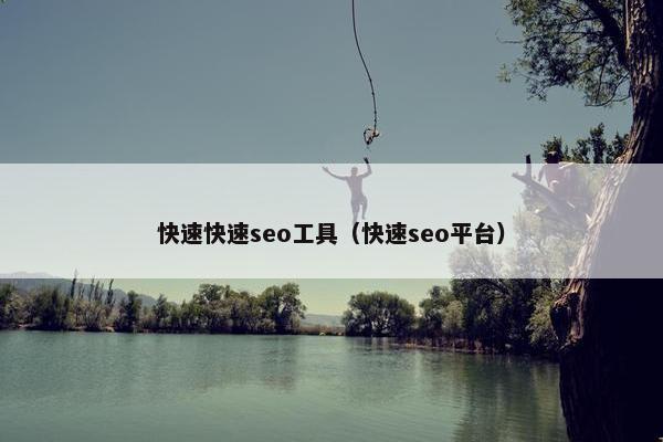 快速快速seo工具（快速seo平台）