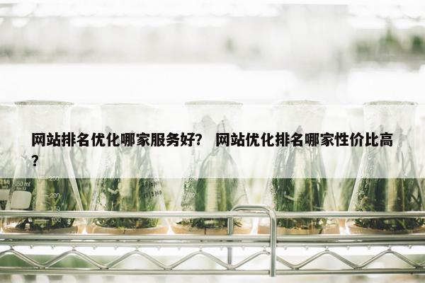 网站排名优化哪家服务好？ 网站优化排名哪家性价比高？