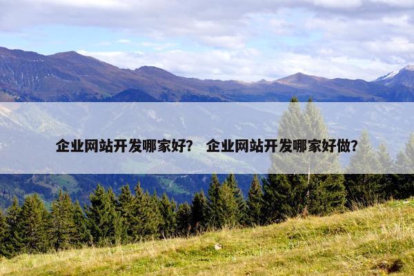 企业网站开发哪家好？ 企业网站开发哪家好做？