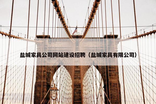 盐城家具公司网站建设招聘（盐城家具有限公司）
