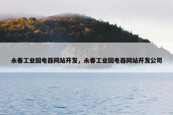 永春工业园电器网站开发，永春工业园电器网站开发公司