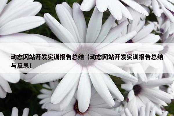 动态网站开发实训报告总结（动态网站开发实训报告总结与反思）