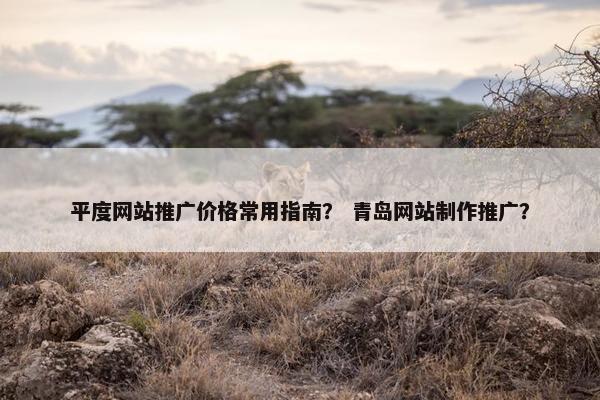 平度网站推广价格常用指南？ 青岛网站制作推广？