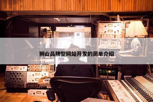 狮山品牌型网站开发的简单介绍