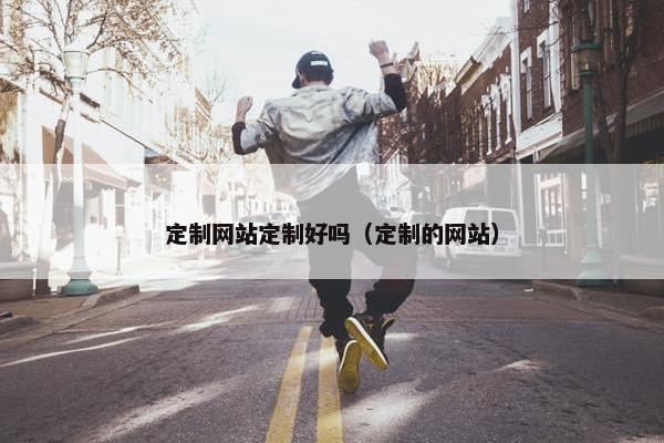 定制网站定制好吗（定制的网站）