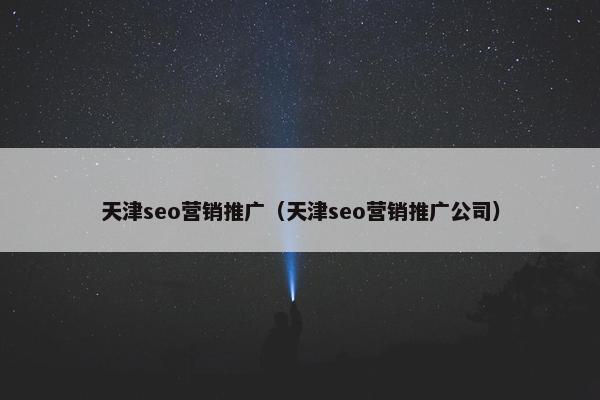 天津seo营销推广（天津seo营销推广公司）