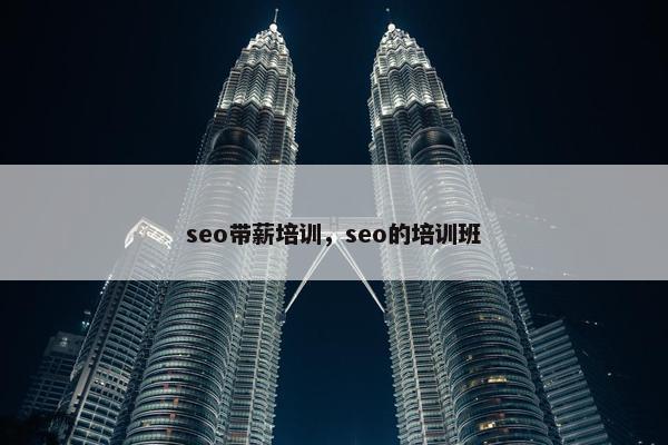 seo带薪培训，seo的培训班