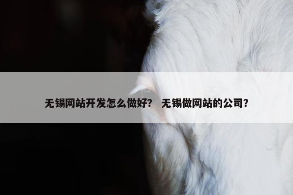 无锡网站开发怎么做好？ 无锡做网站的公司？