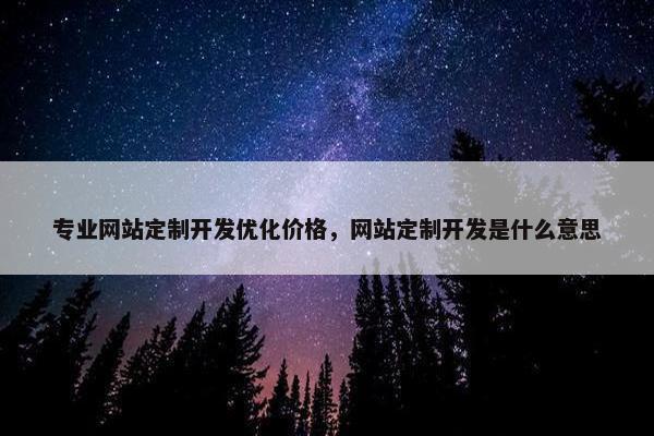 专业网站定制开发优化价格，网站定制开发是什么意思